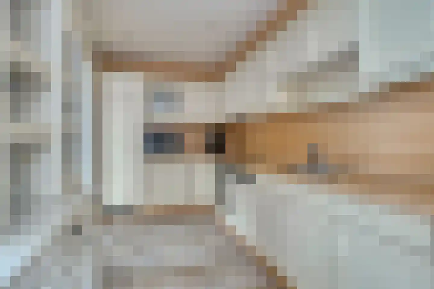 Dillewijnen 2 Veenendaal thumbnail 18