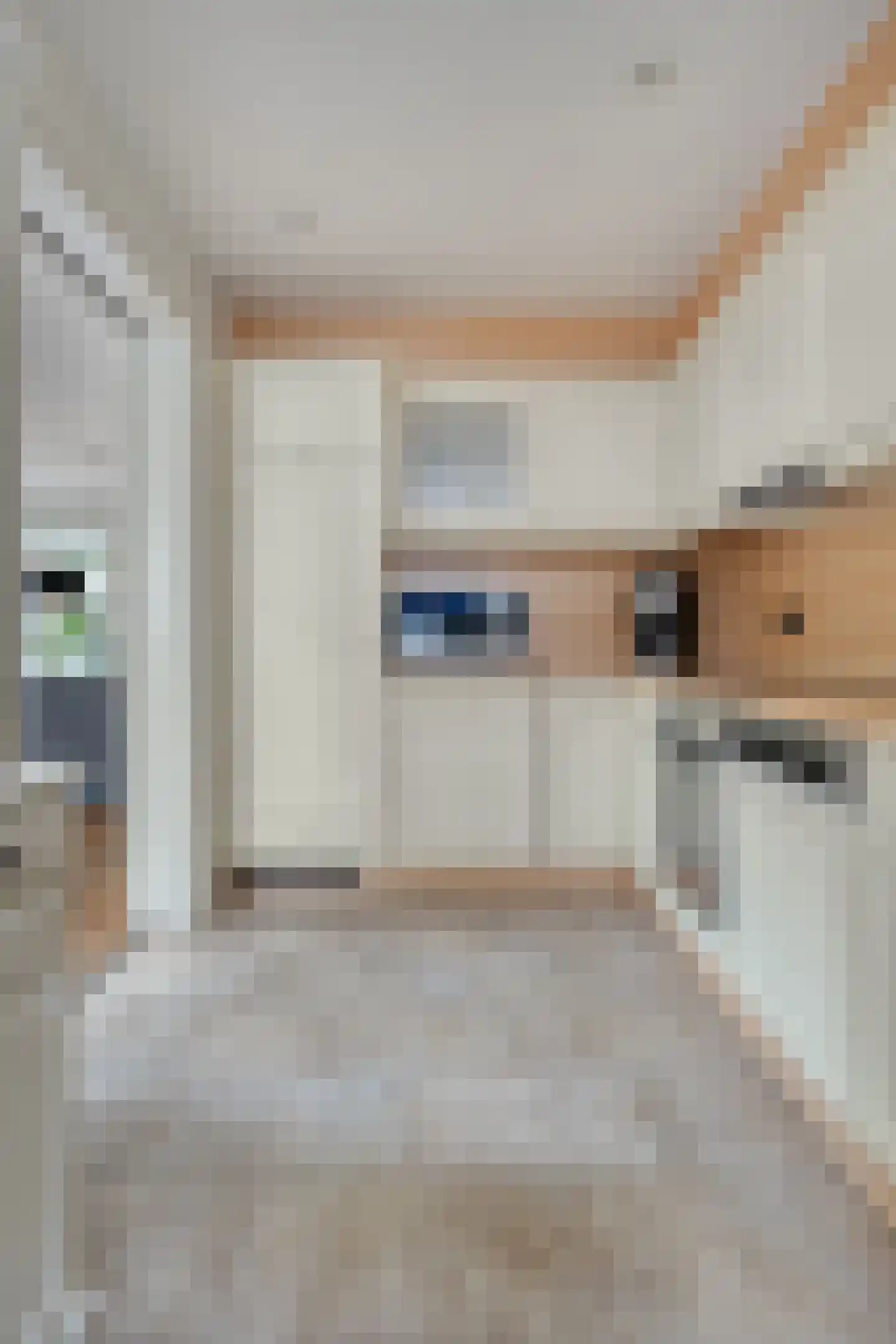 Dillewijnen 2 Veenendaal thumbnail 18