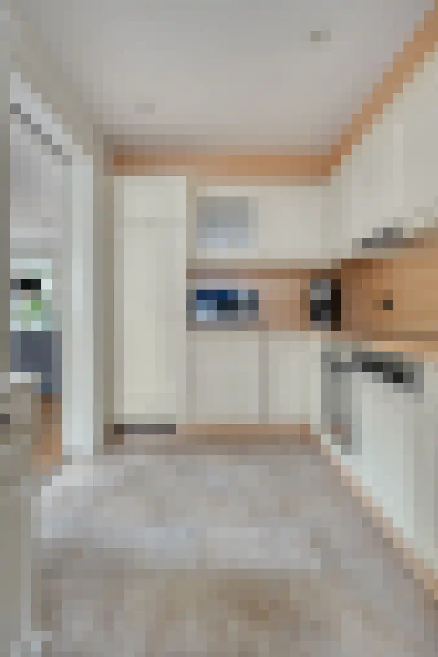 Dillewijnen 2 Veenendaal thumbnail 19