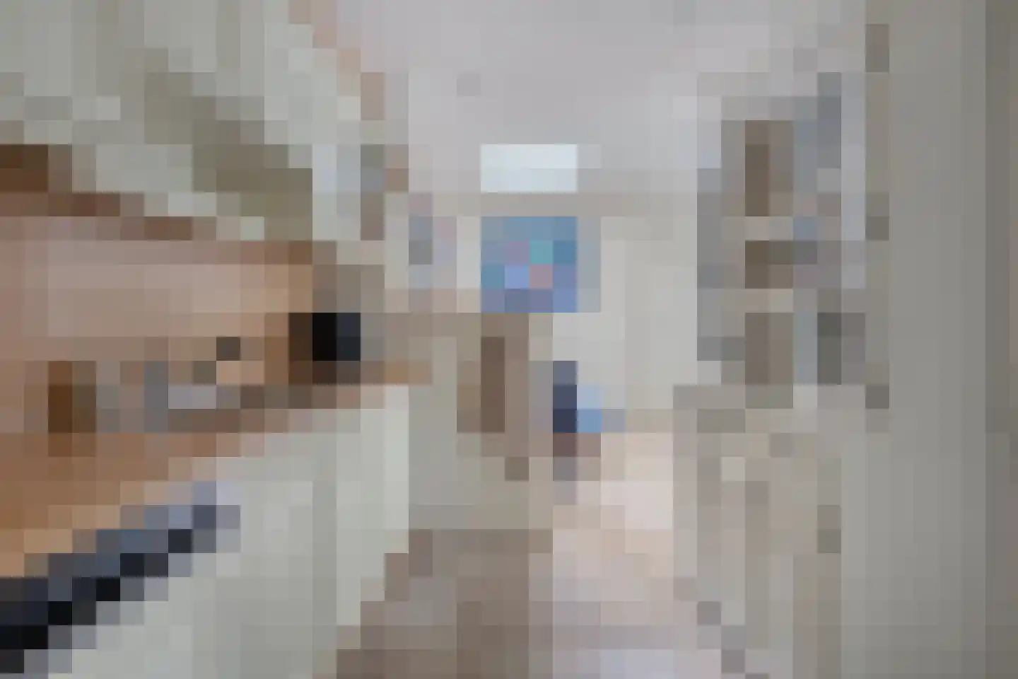 Dillewijnen 2 Veenendaal thumbnail 20