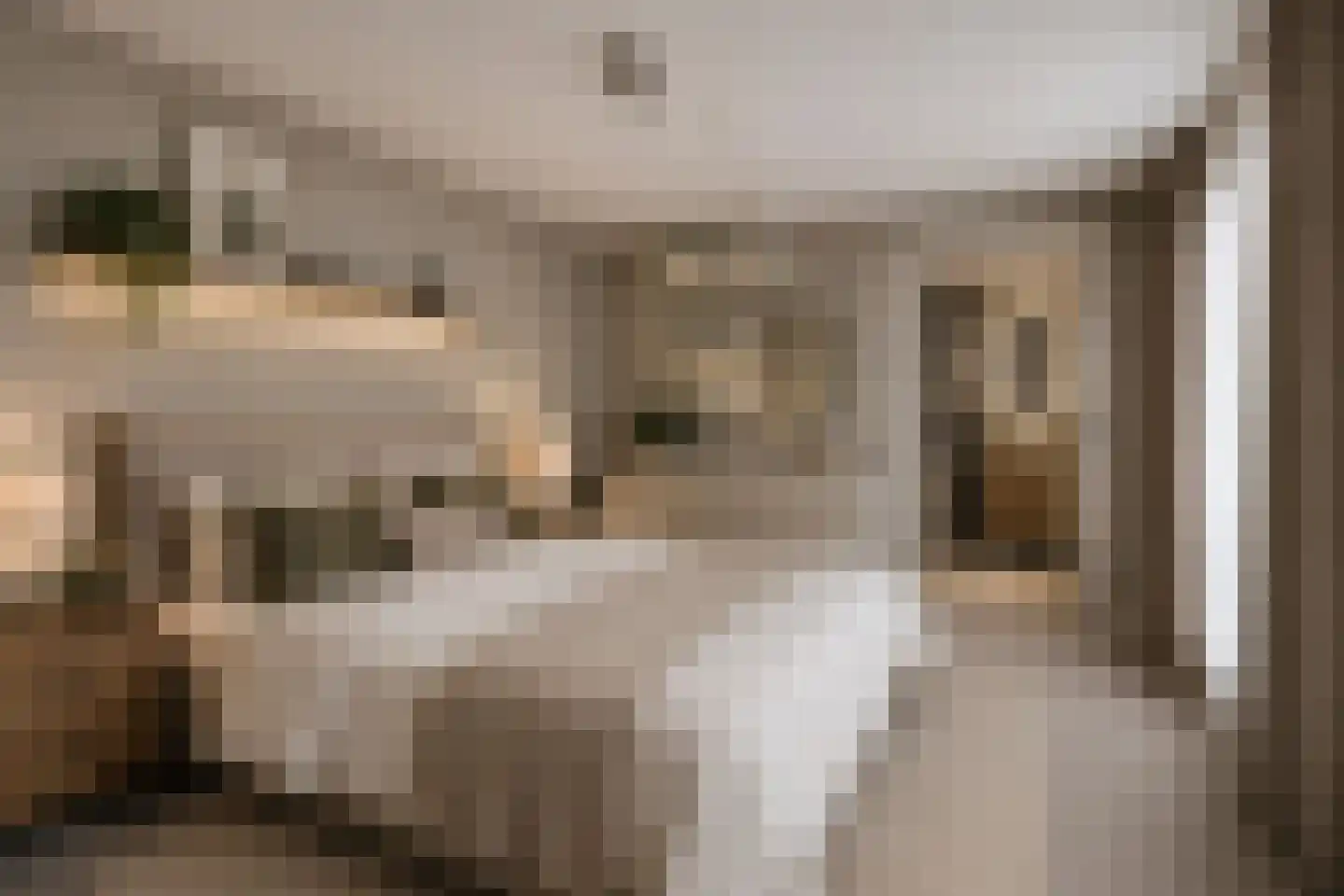 Dillewijnen 2 Veenendaal thumbnail 23