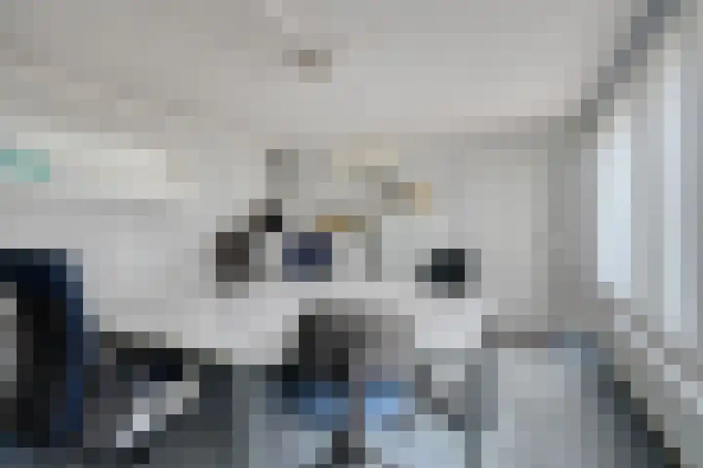 Dillewijnen 2 Veenendaal thumbnail 24