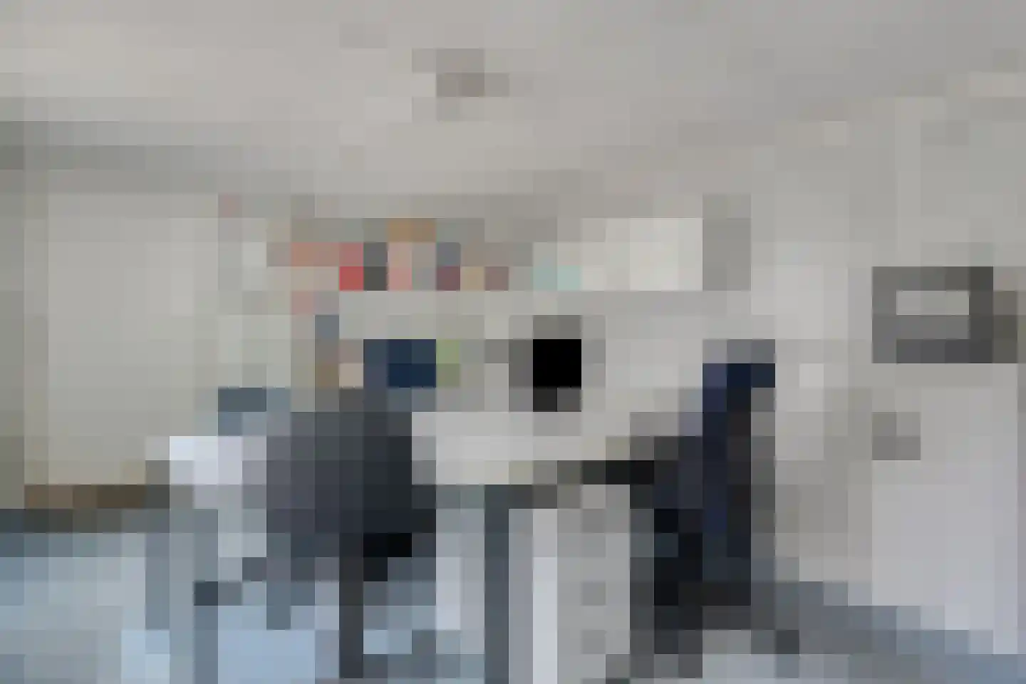 Dillewijnen 2 Veenendaal thumbnail 25