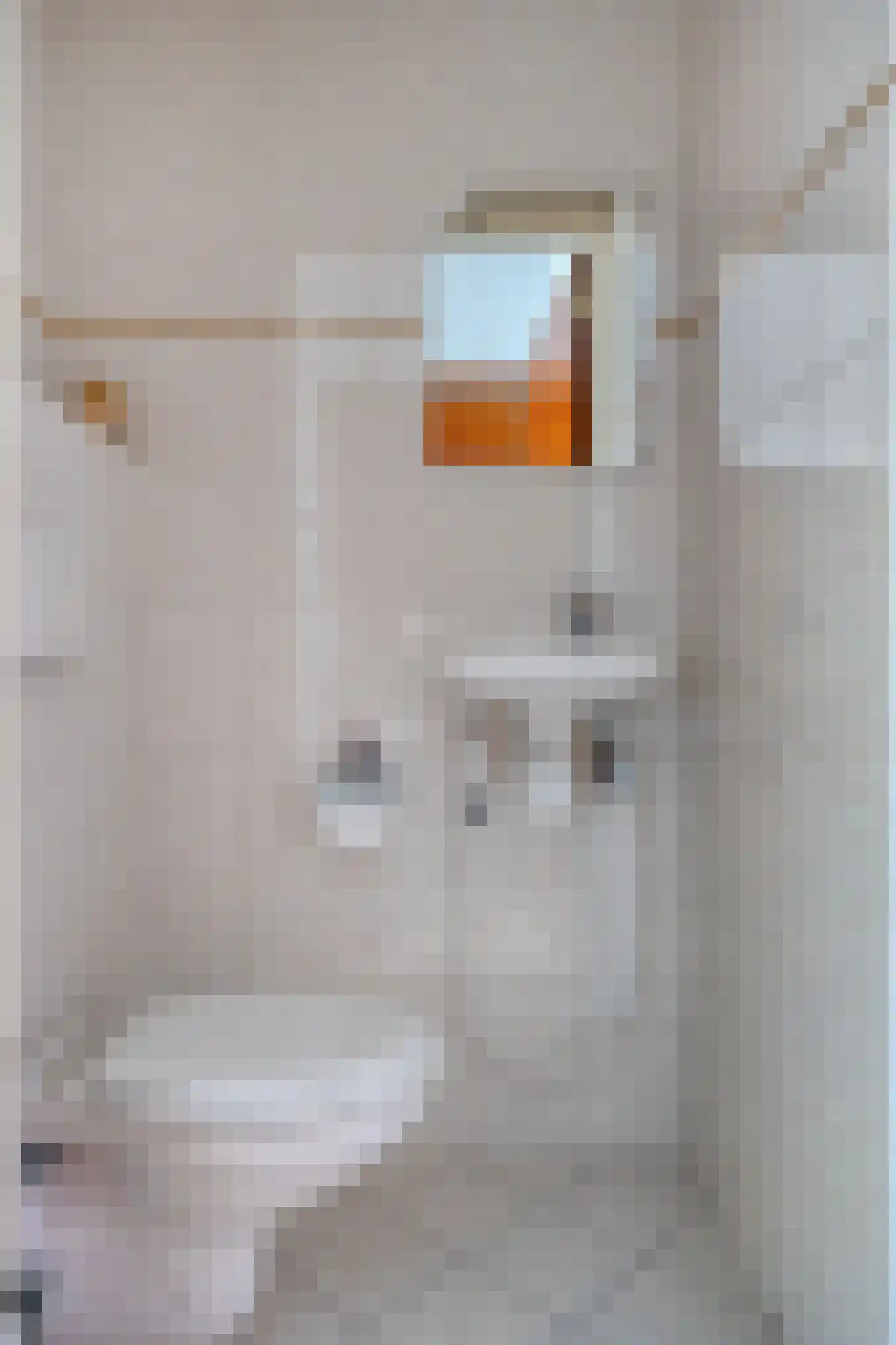 Dillewijnen 2 Veenendaal thumbnail 27