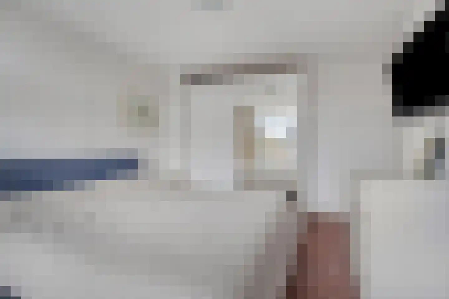 Dillewijnen 2 Veenendaal thumbnail 32