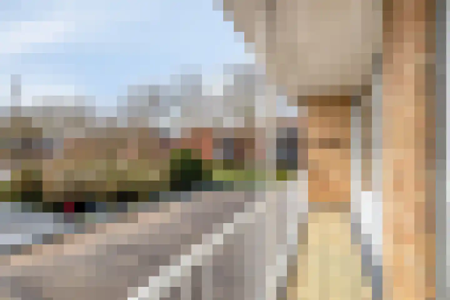 Dillewijnen 2 Veenendaal thumbnail 33