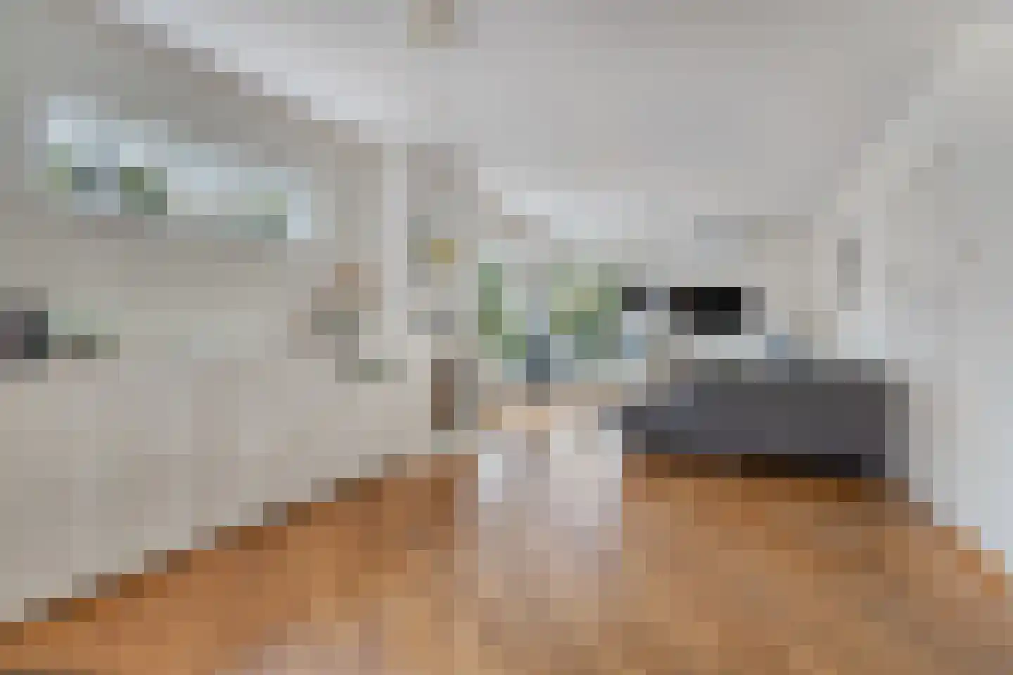 Dillewijnen 2 Veenendaal thumbnail 4
