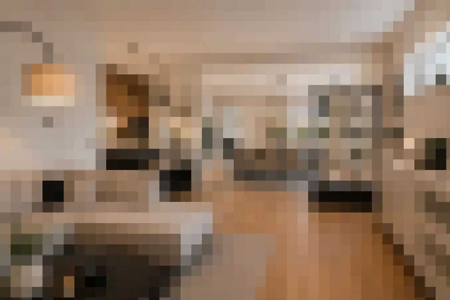 Dillewijnen 2 Veenendaal thumbnail 4