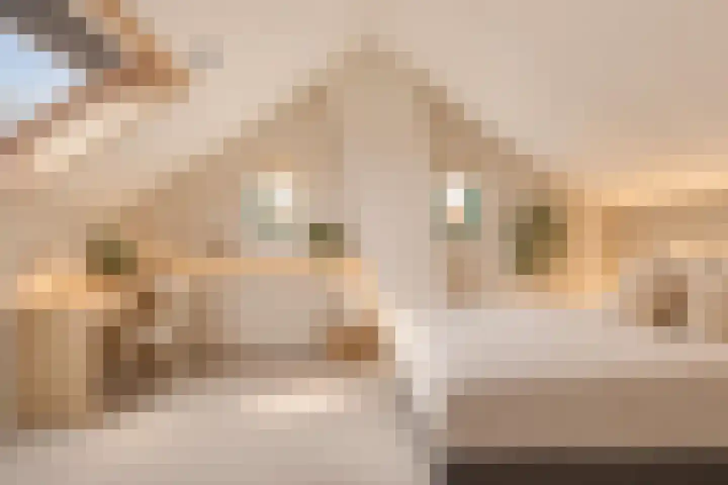 Dillewijnen 2 Veenendaal thumbnail 44