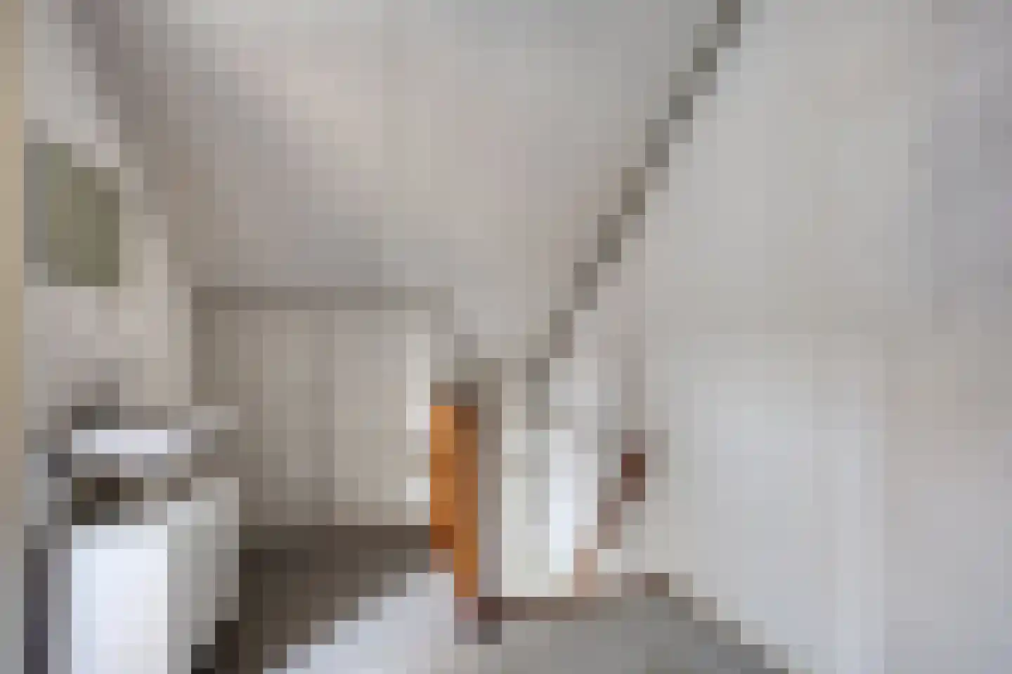 Dillewijnen 2 Veenendaal thumbnail 44