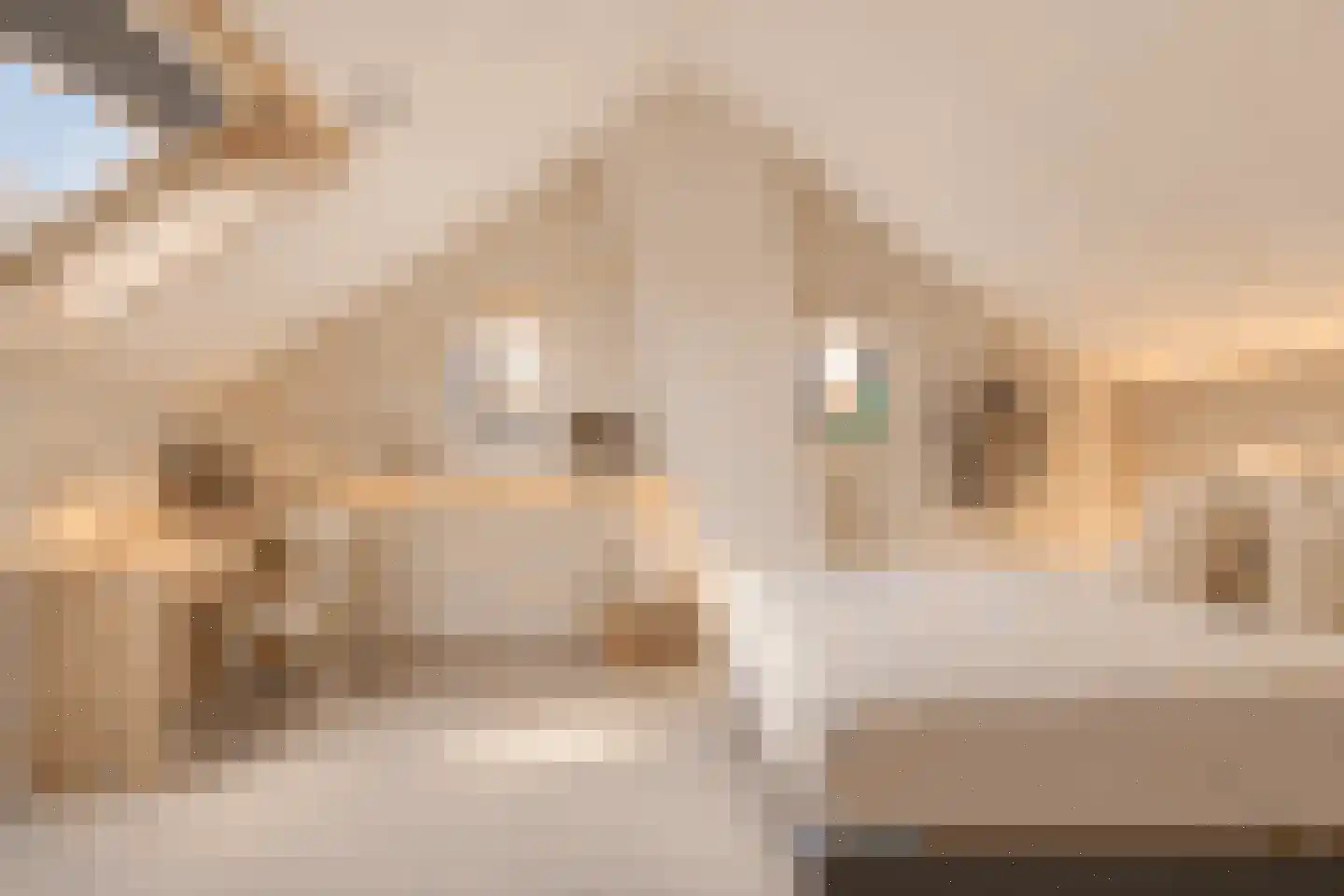 Dillewijnen 2 Veenendaal thumbnail 46