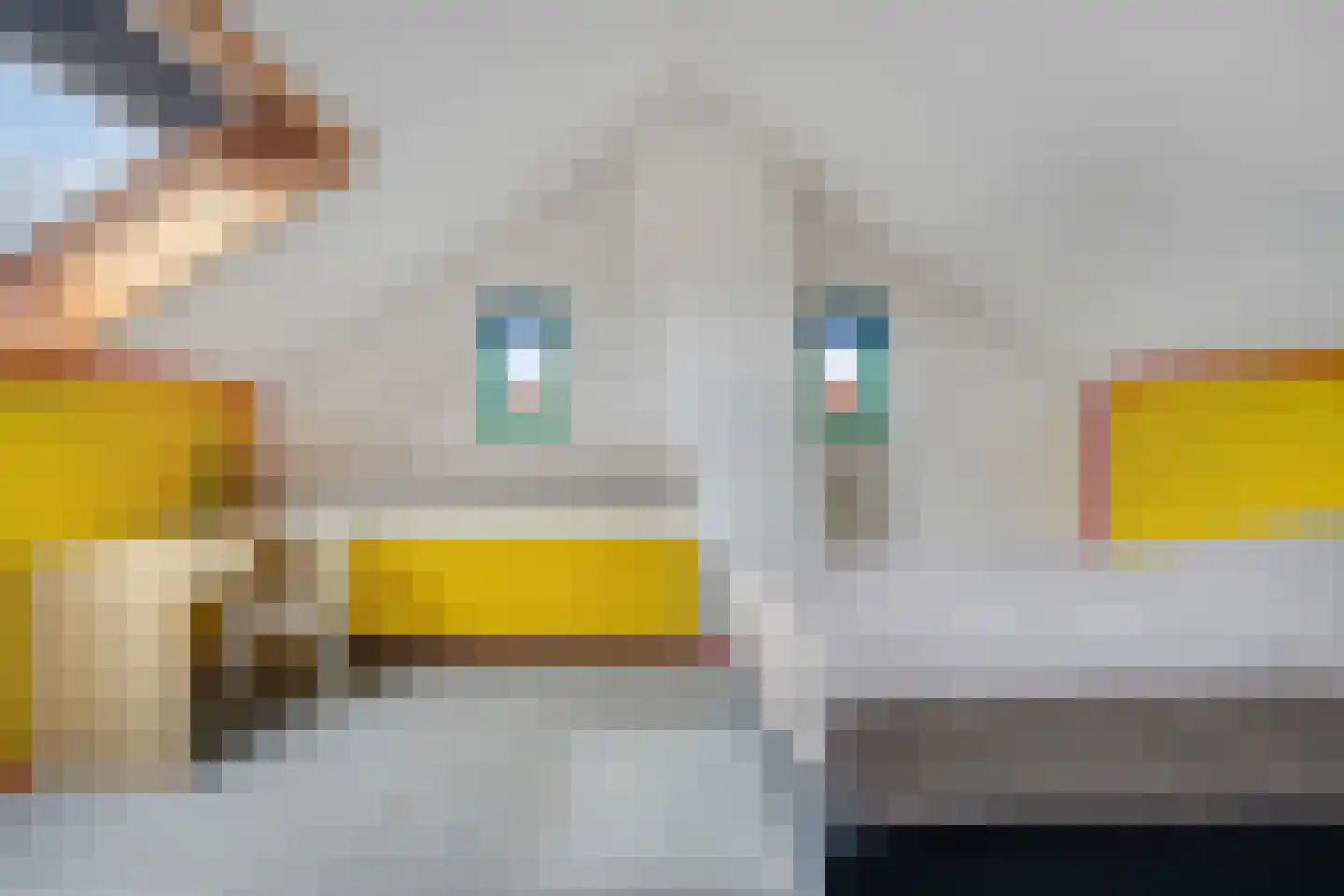 Dillewijnen 2 Veenendaal thumbnail 47