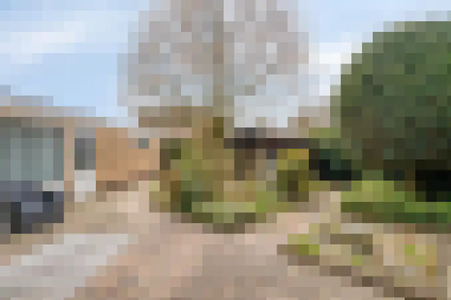 Dillewijnen 2 Veenendaal thumbnail 53