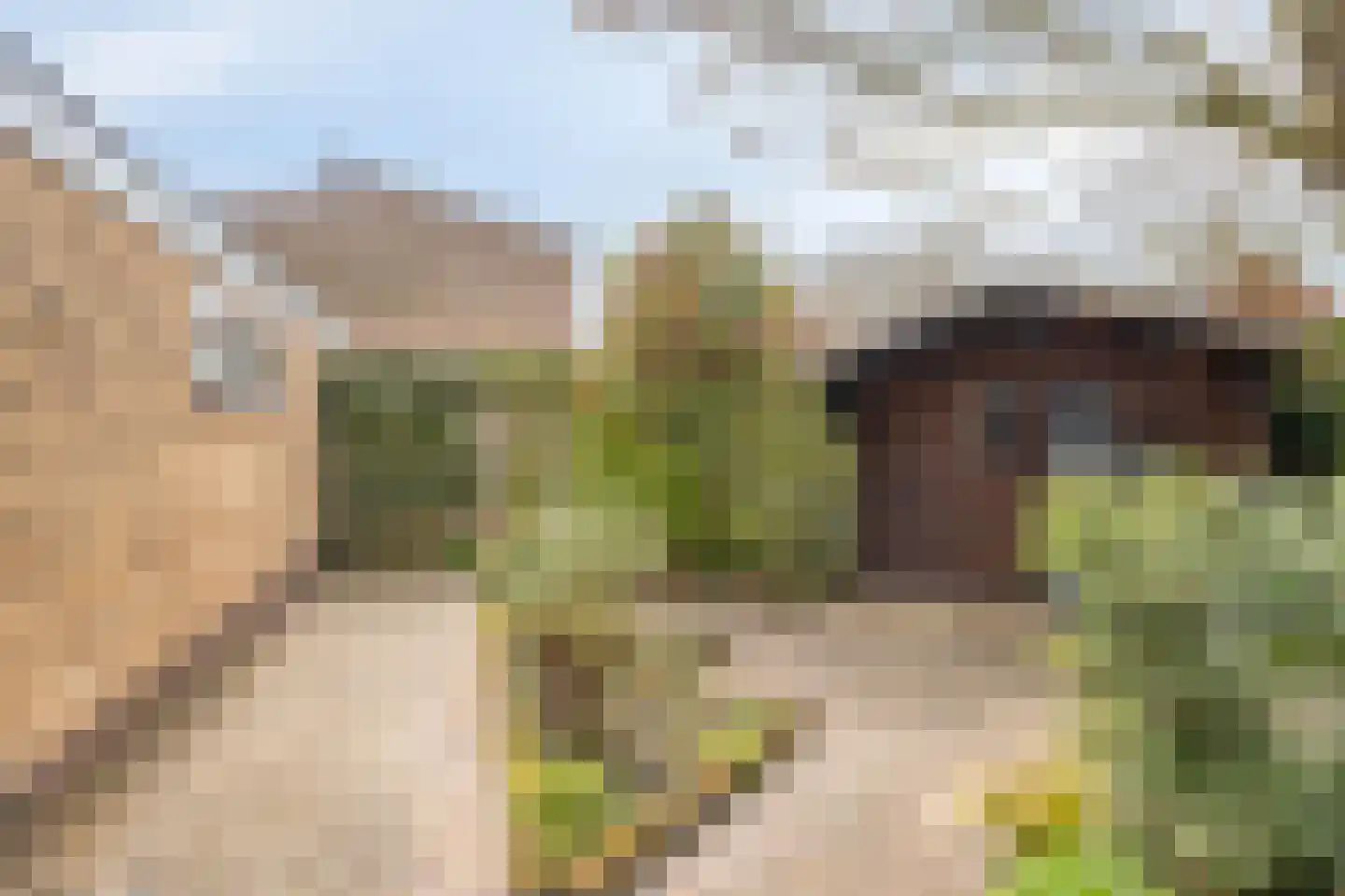 Dillewijnen 2 Veenendaal thumbnail 54