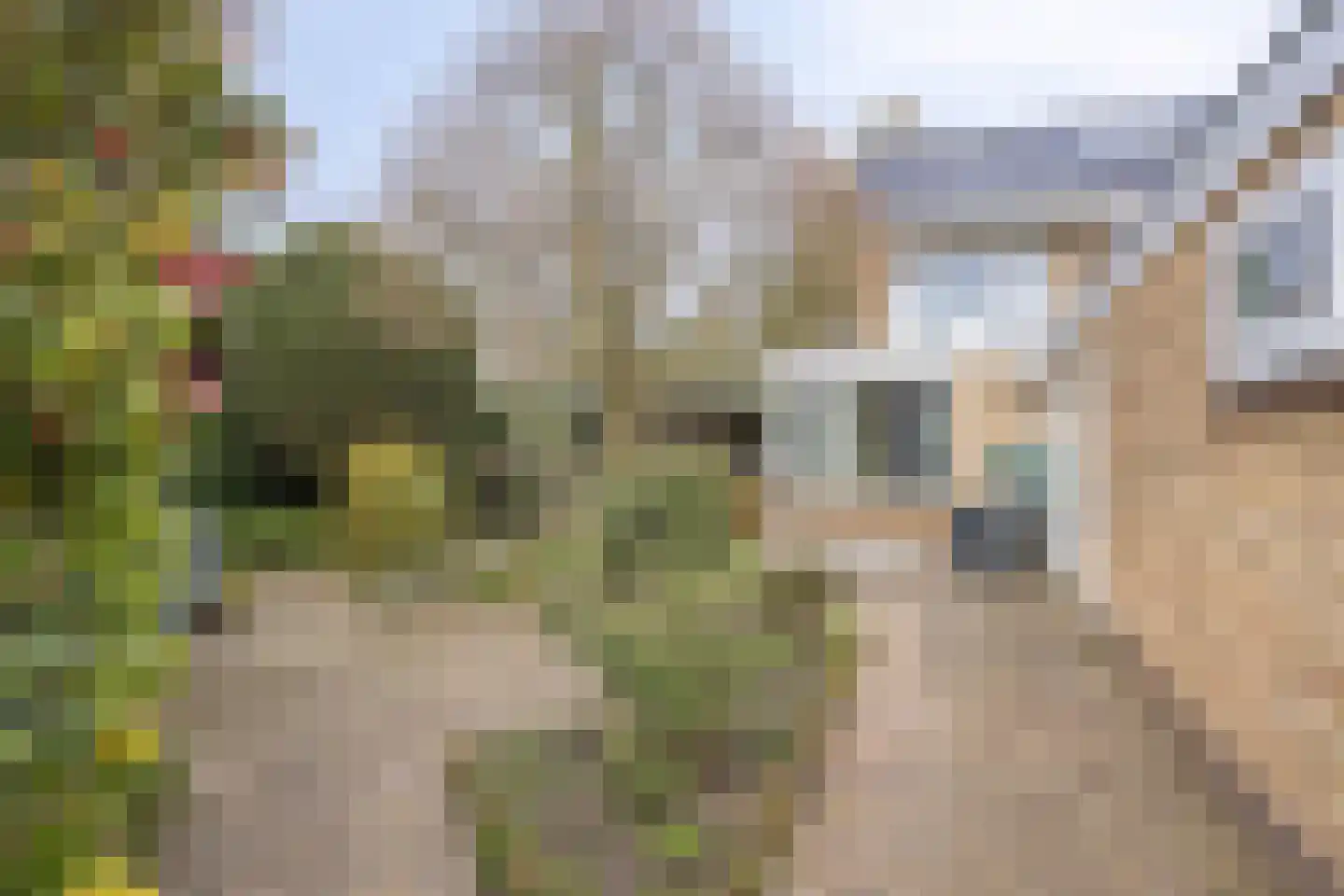 Dillewijnen 2 Veenendaal thumbnail 54