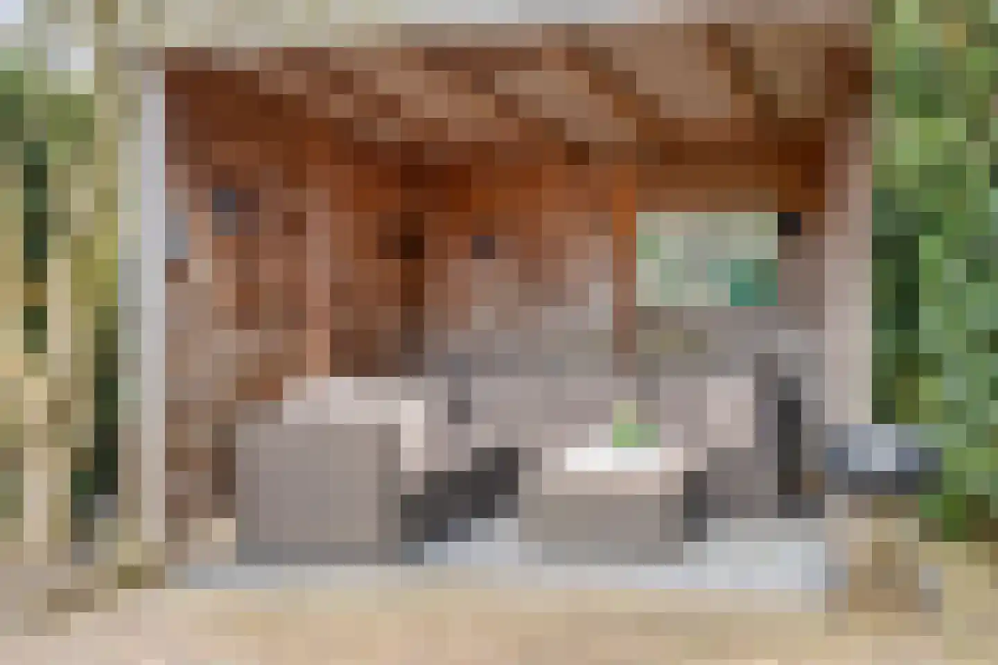 Dillewijnen 2 Veenendaal thumbnail 55