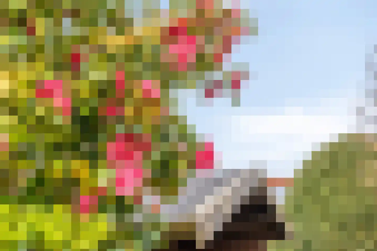 Dillewijnen 2 Veenendaal thumbnail 56