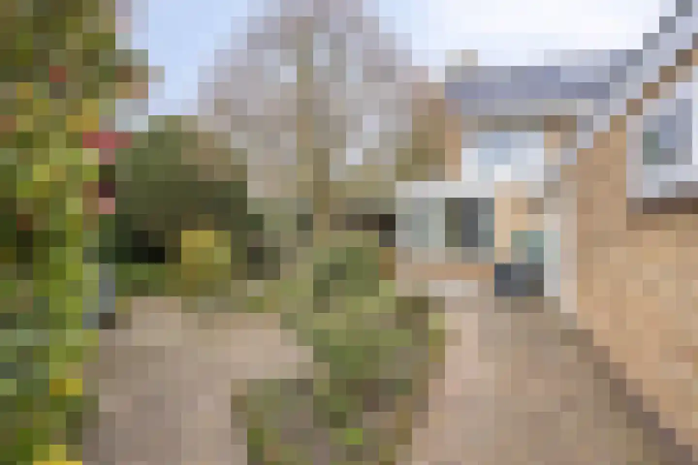 Dillewijnen 2 Veenendaal thumbnail 57