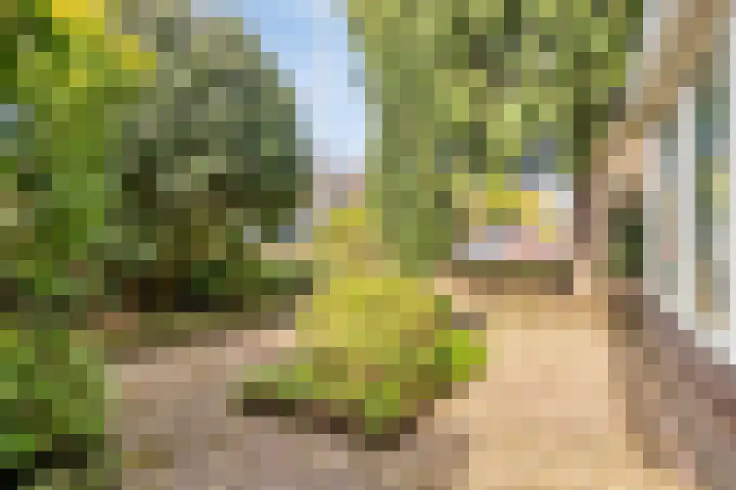 Dillewijnen 2 Veenendaal thumbnail 58