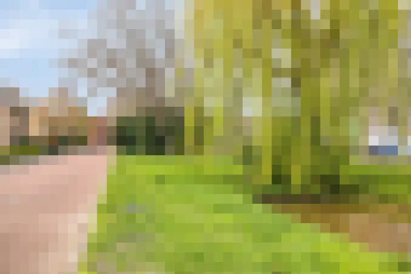 Dillewijnen 2 Veenendaal thumbnail 61