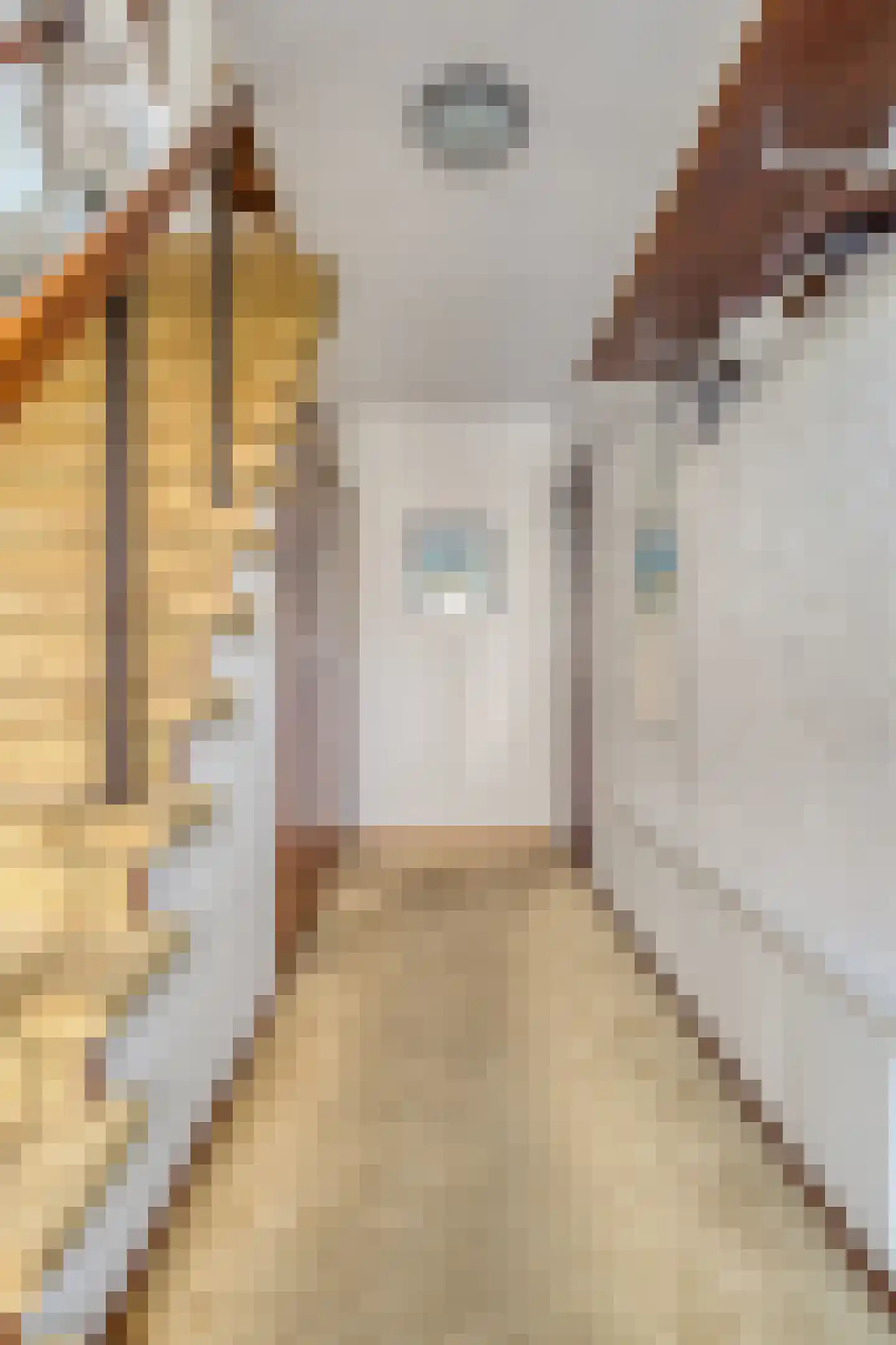 Dillewijnen 2 Veenendaal thumbnail 9