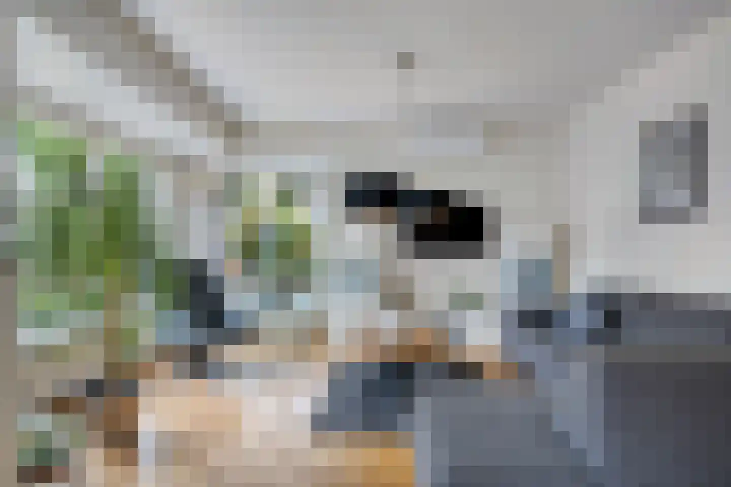 Dillewijnen 2 Veenendaal thumbnail 9
