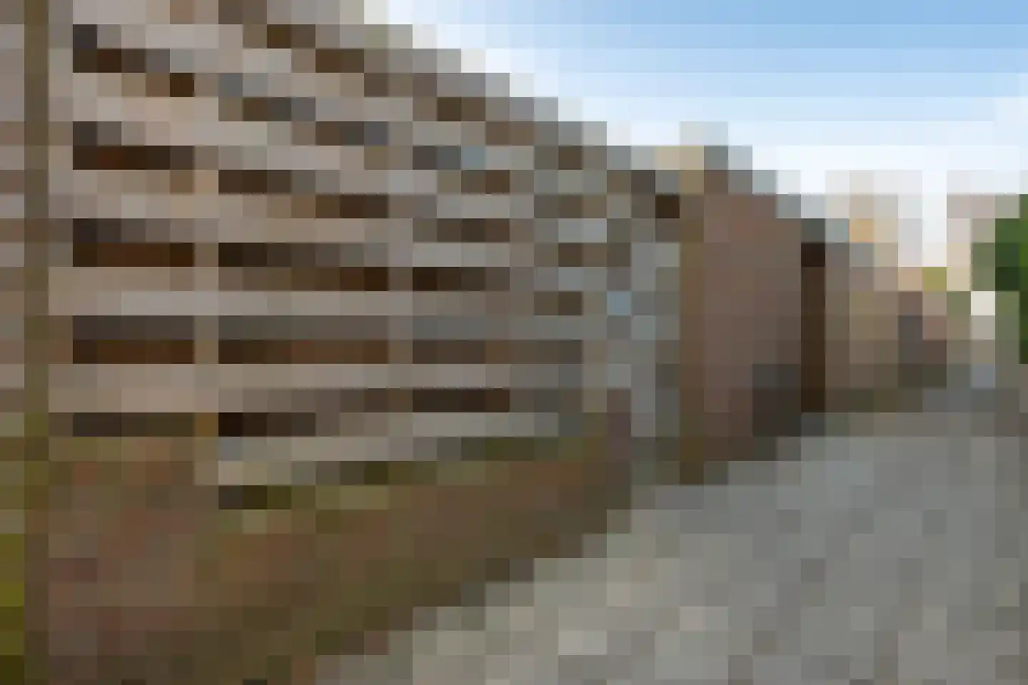 Dillingecamp 16 Emmen thumbnail 38
