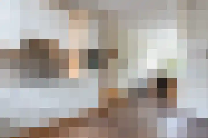Dillingecamp 24 Emmen thumbnail 12