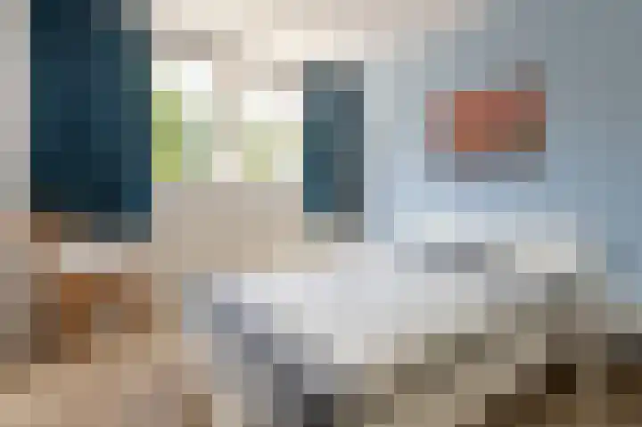 Dillingecamp 24 Emmen thumbnail 19