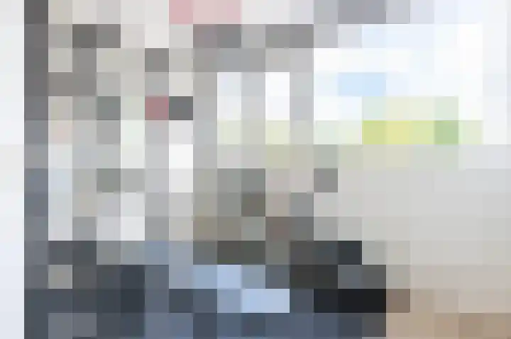 Dillingecamp 24 Emmen thumbnail 21
