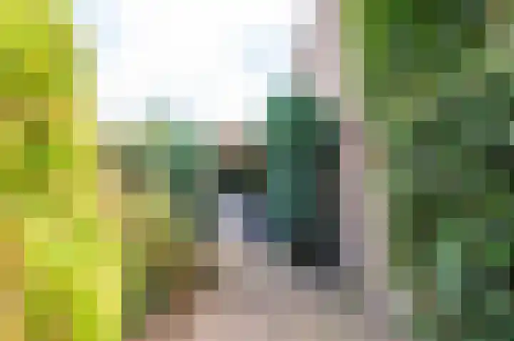 Dillingecamp 24 Emmen thumbnail 26