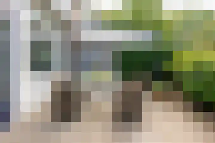 Dillingecamp 24 Emmen thumbnail 27