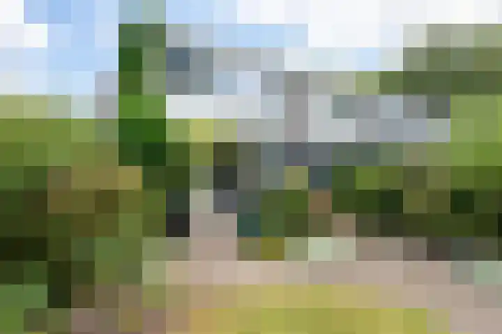 Dillingecamp 24 Emmen thumbnail 28