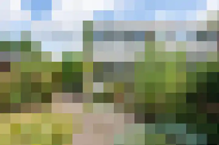 Dillingecamp 24 Emmen thumbnail 29