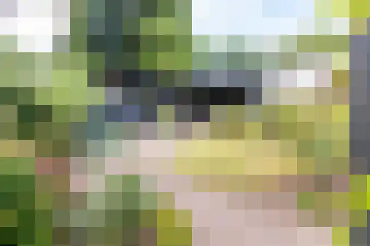 Dillingecamp 24 Emmen thumbnail 30