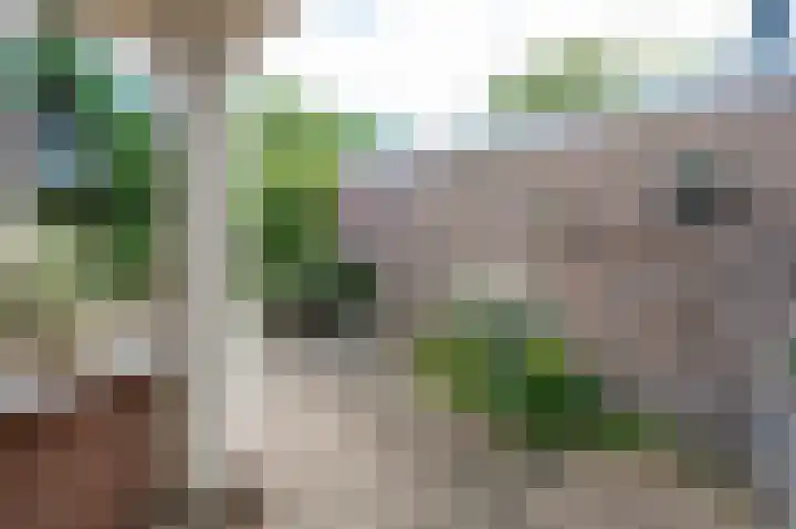 Dillingecamp 24 Emmen thumbnail 31