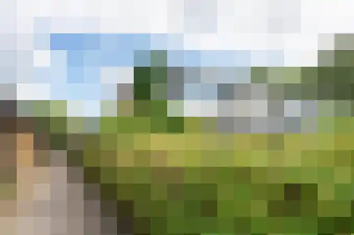 Dillingecamp 24 Emmen thumbnail 34