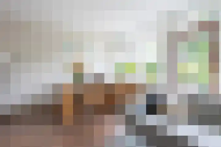 Dillingecamp 24 Emmen thumbnail 5