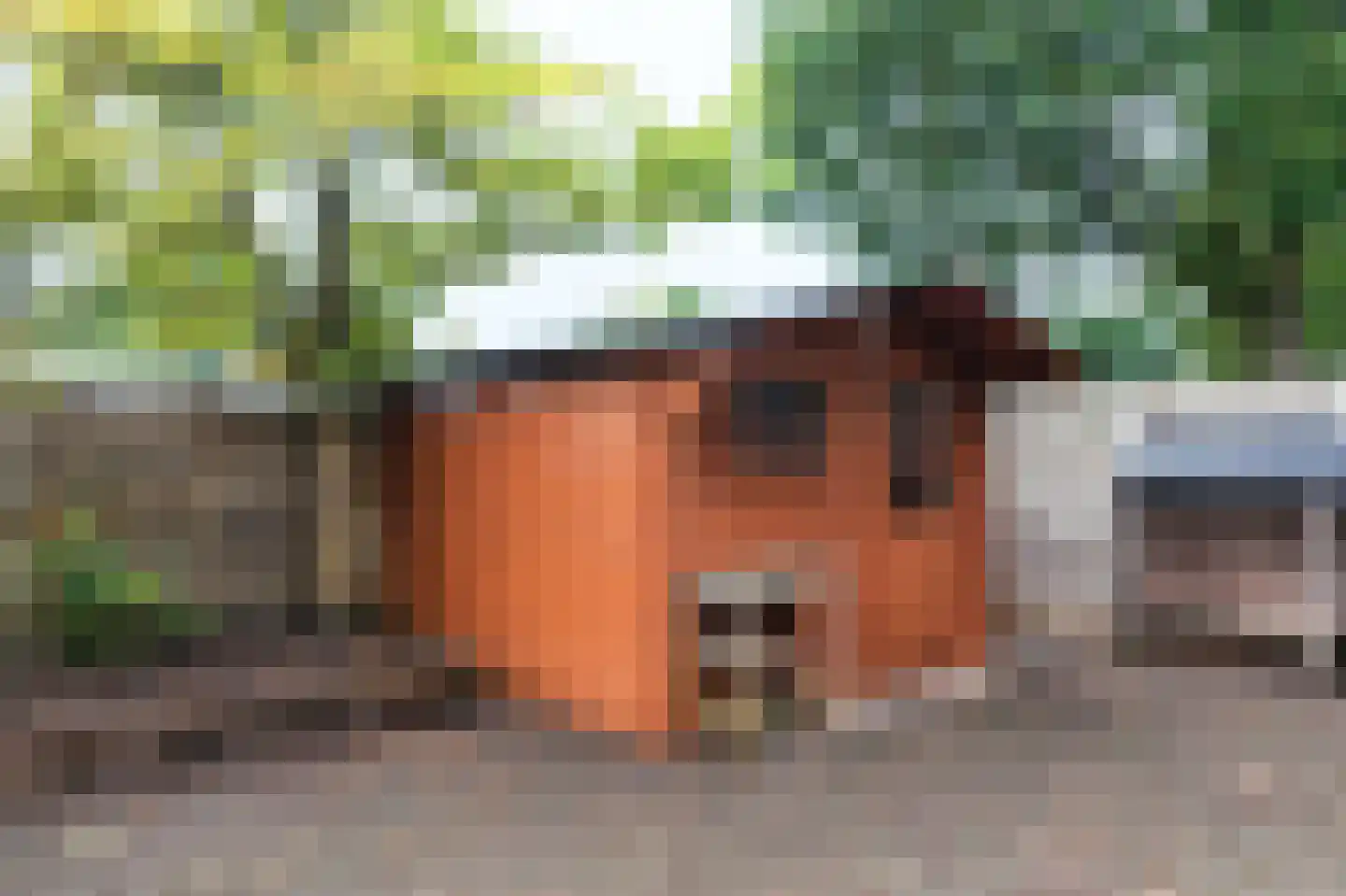 Dillingecamp 29 Emmen thumbnail 32