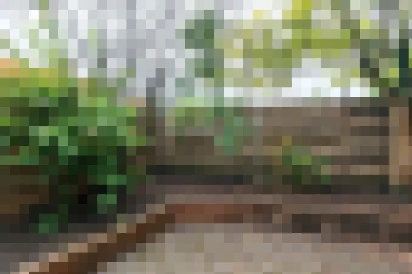 Dillingecamp 29 Emmen thumbnail 33