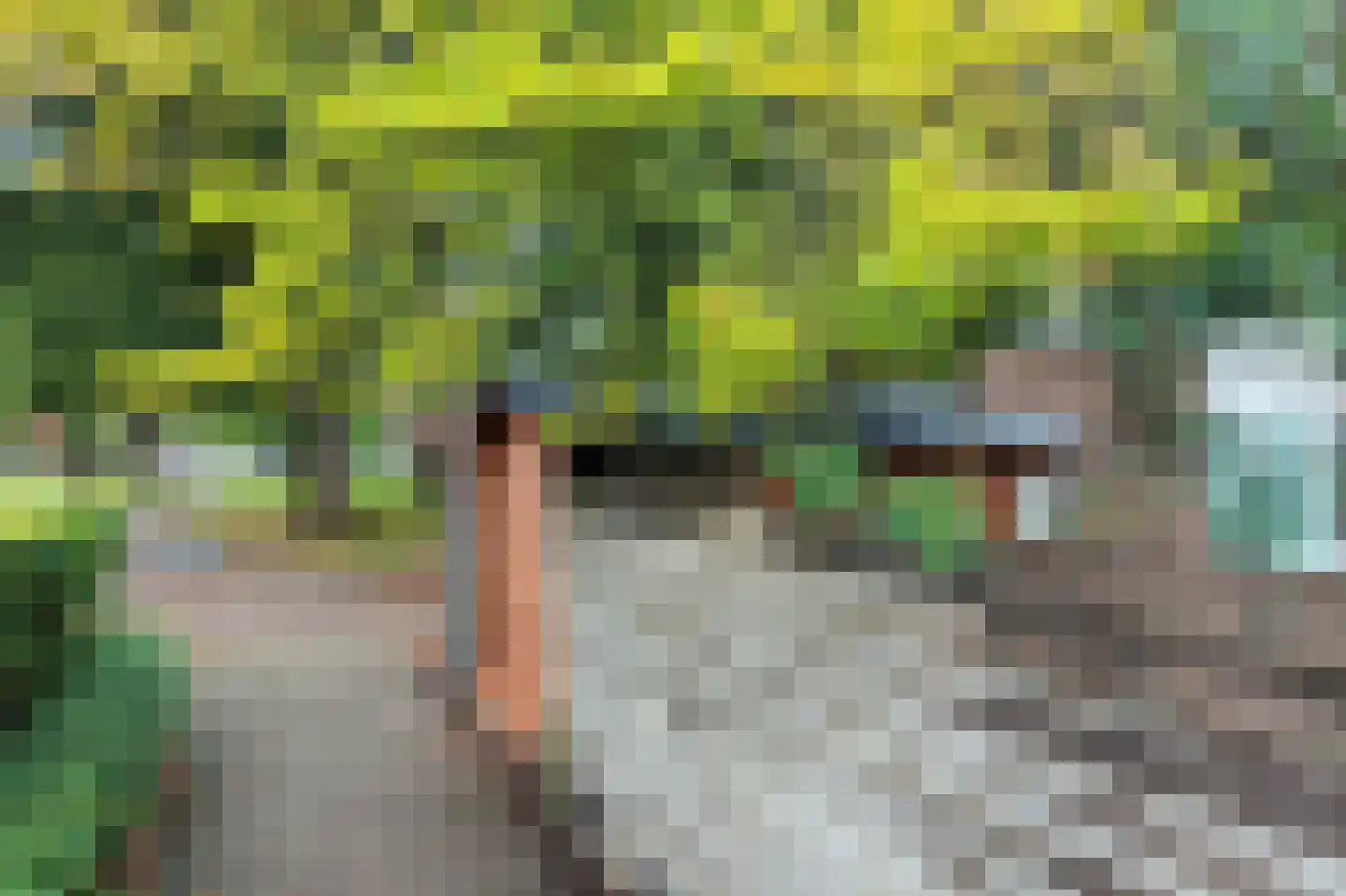 Dillingecamp 29 Emmen thumbnail 36