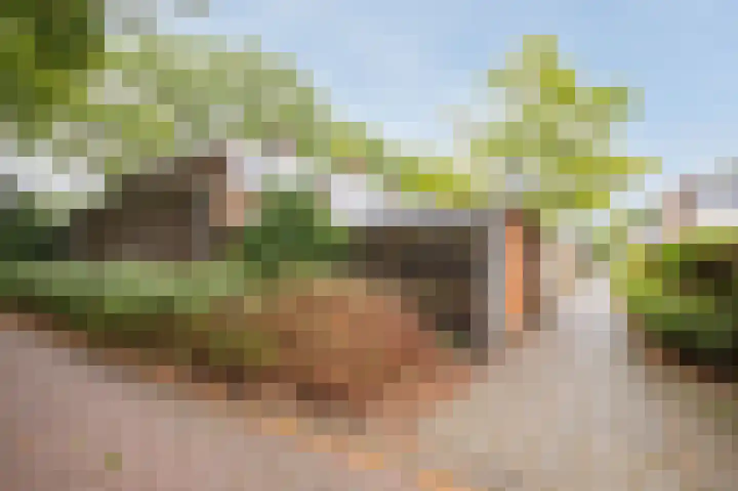 Dillingecamp 29 Emmen thumbnail 37