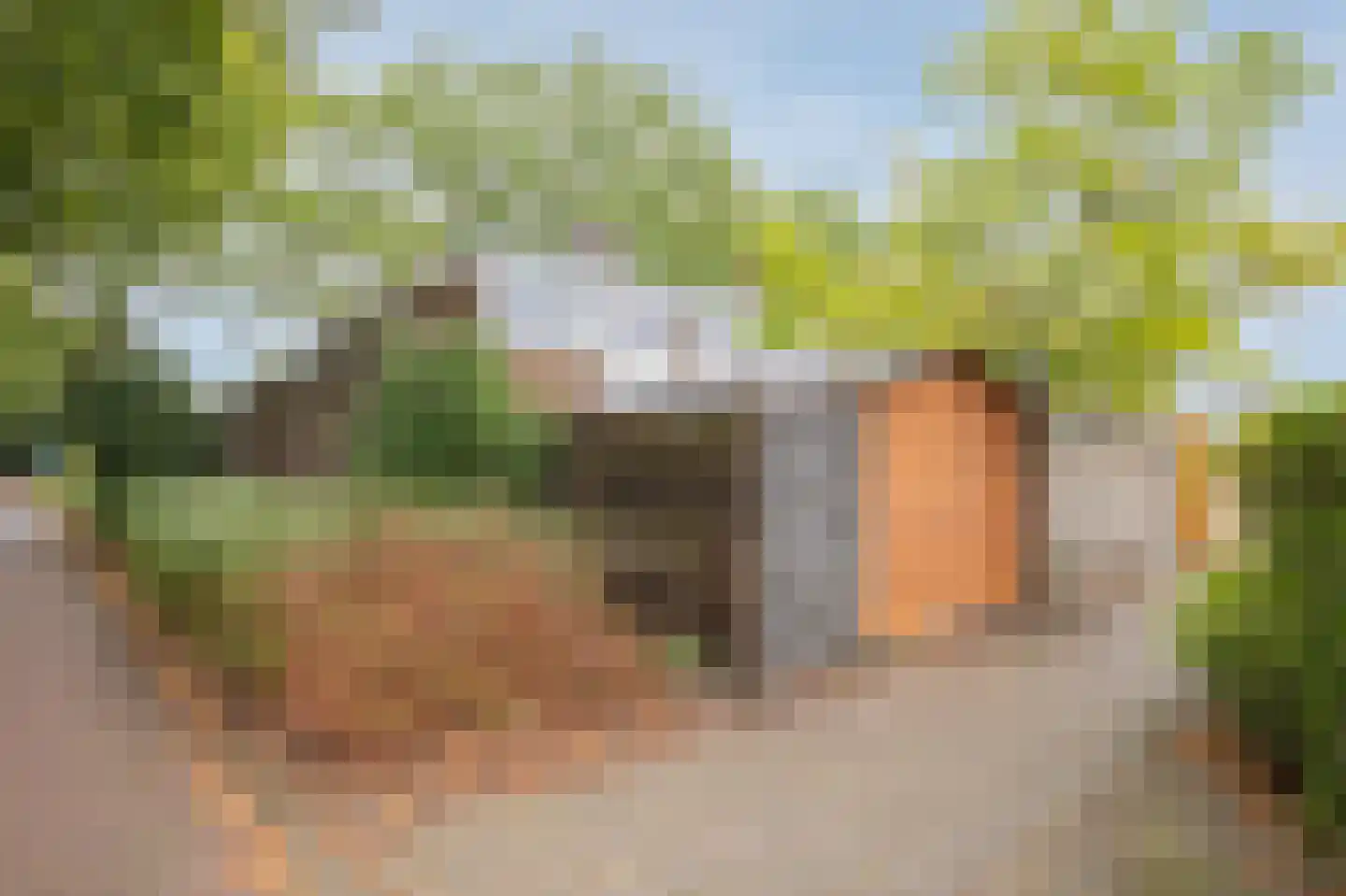 Dillingecamp 29 Emmen thumbnail 38