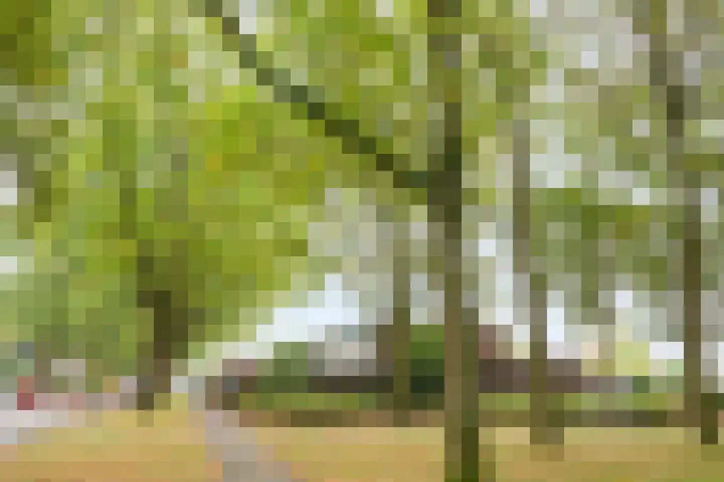 Dillingecamp 29 Emmen thumbnail 4