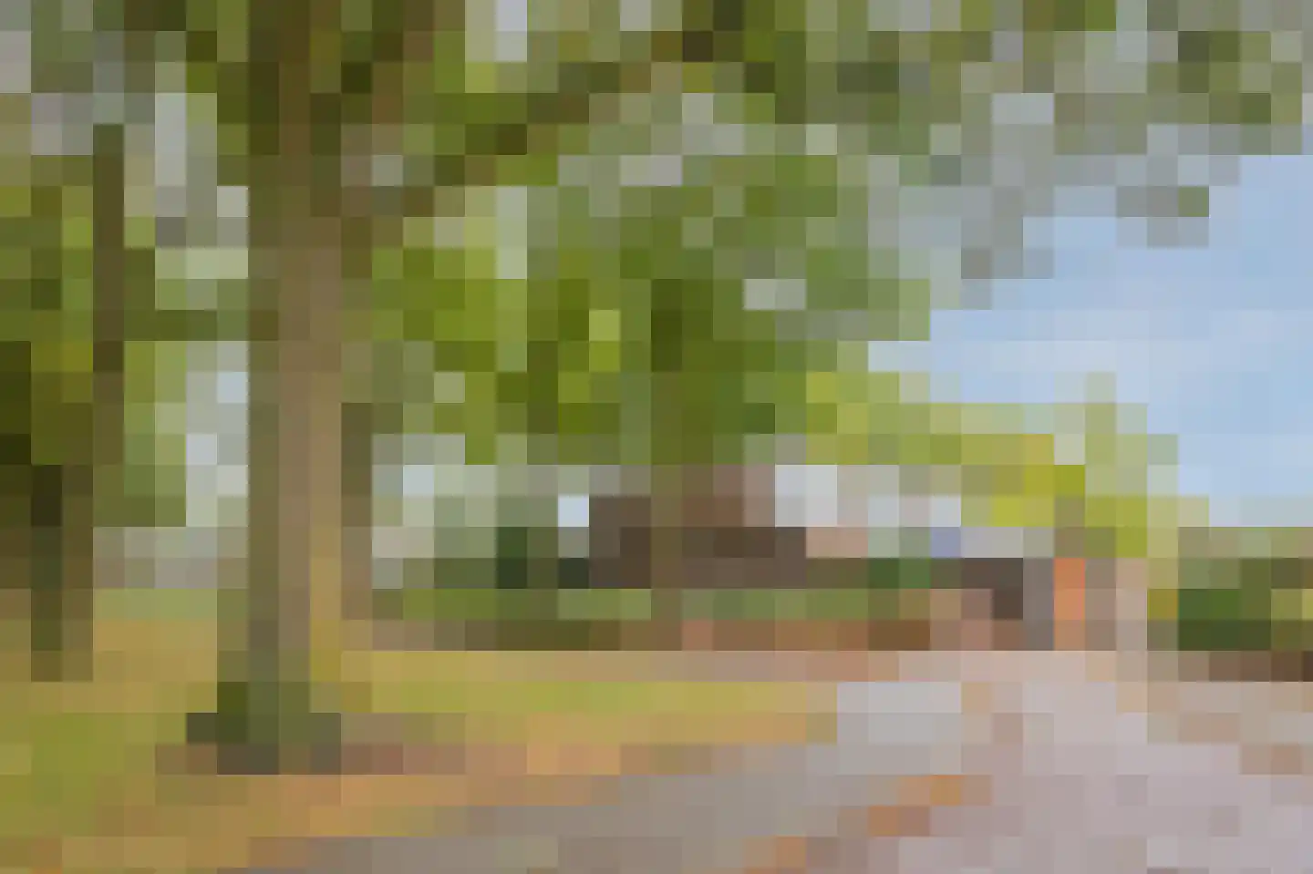 Dillingecamp 29 Emmen thumbnail 40