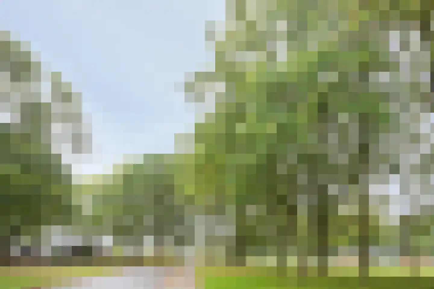 Dillingecamp 29 Emmen thumbnail 41