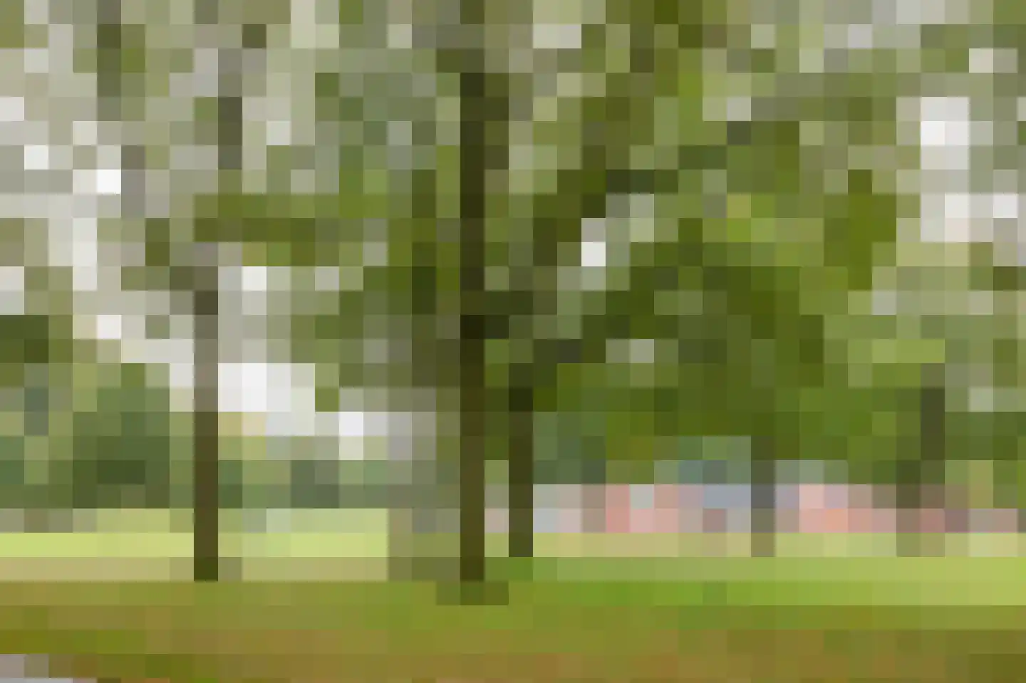 Dillingecamp 29 Emmen thumbnail 43