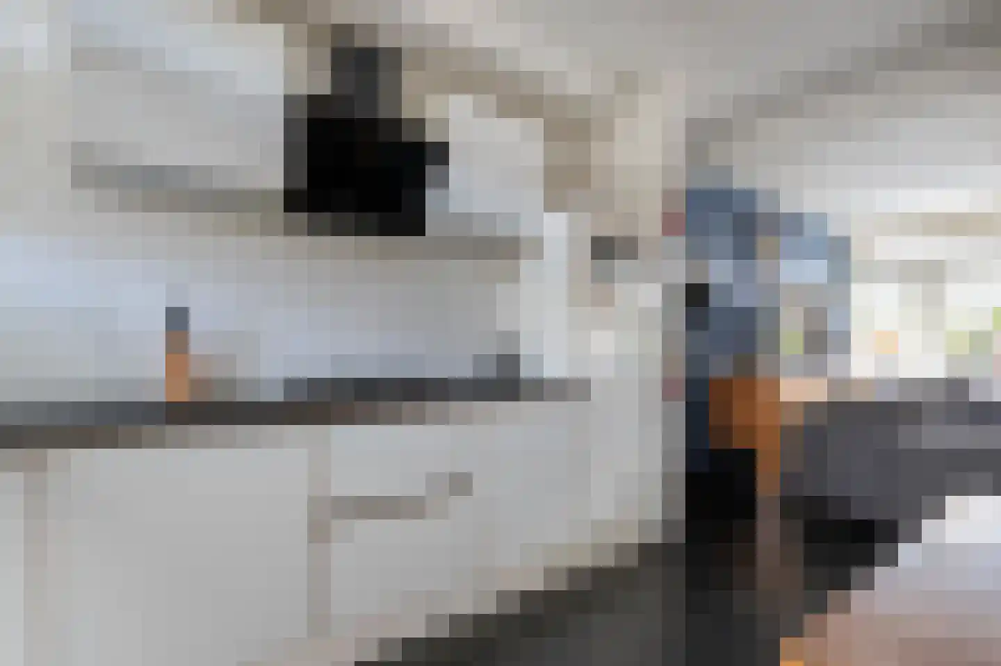 Dillingecamp 7 Emmen thumbnail 6
