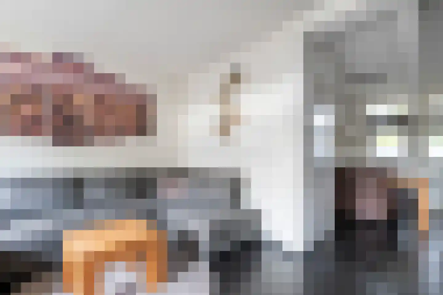 Dillingecamp 7 Emmen thumbnail 8