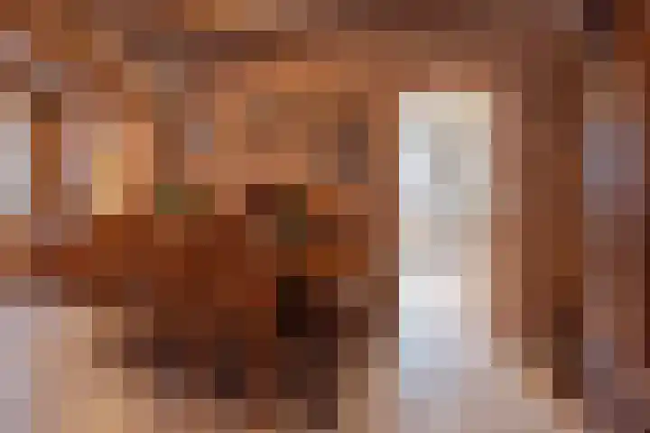 Dillingstraat 8 Ysselsteyn thumbnail 14